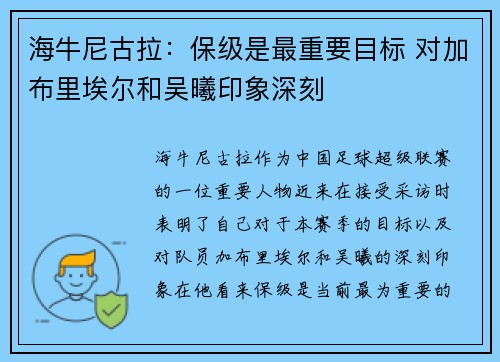 海牛尼古拉：保级是最重要目标 对加布里埃尔和吴曦印象深刻